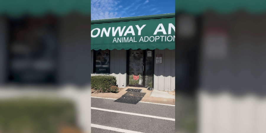 Conway Animal Services offers safe haven for domestic violence pets