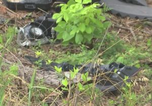 Joey Simmons dies in Bee Branch crash after Conway robberies